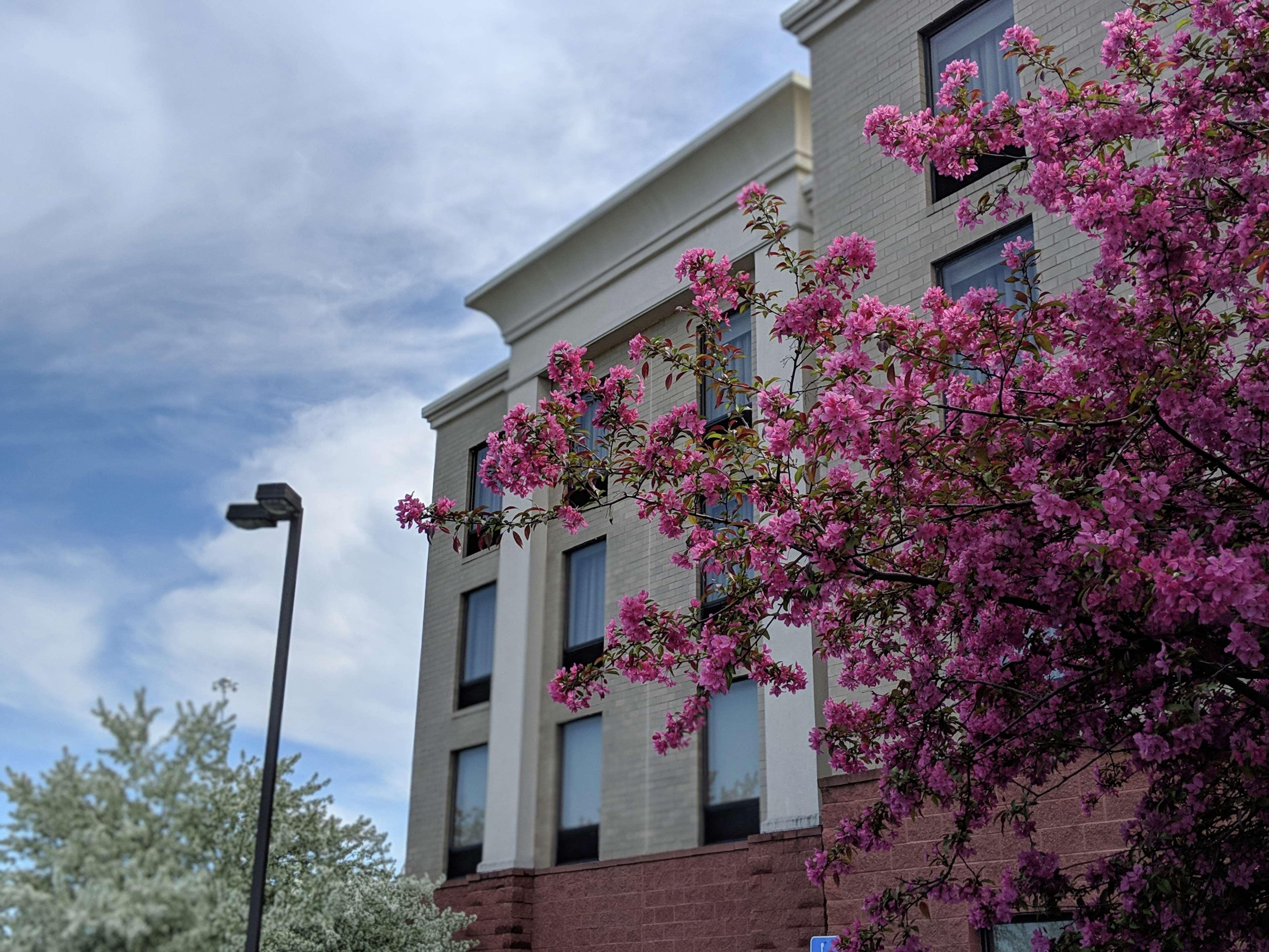Hampton Inn & Suites Cincinnati-Union Centre West Chester Zewnętrze zdjęcie